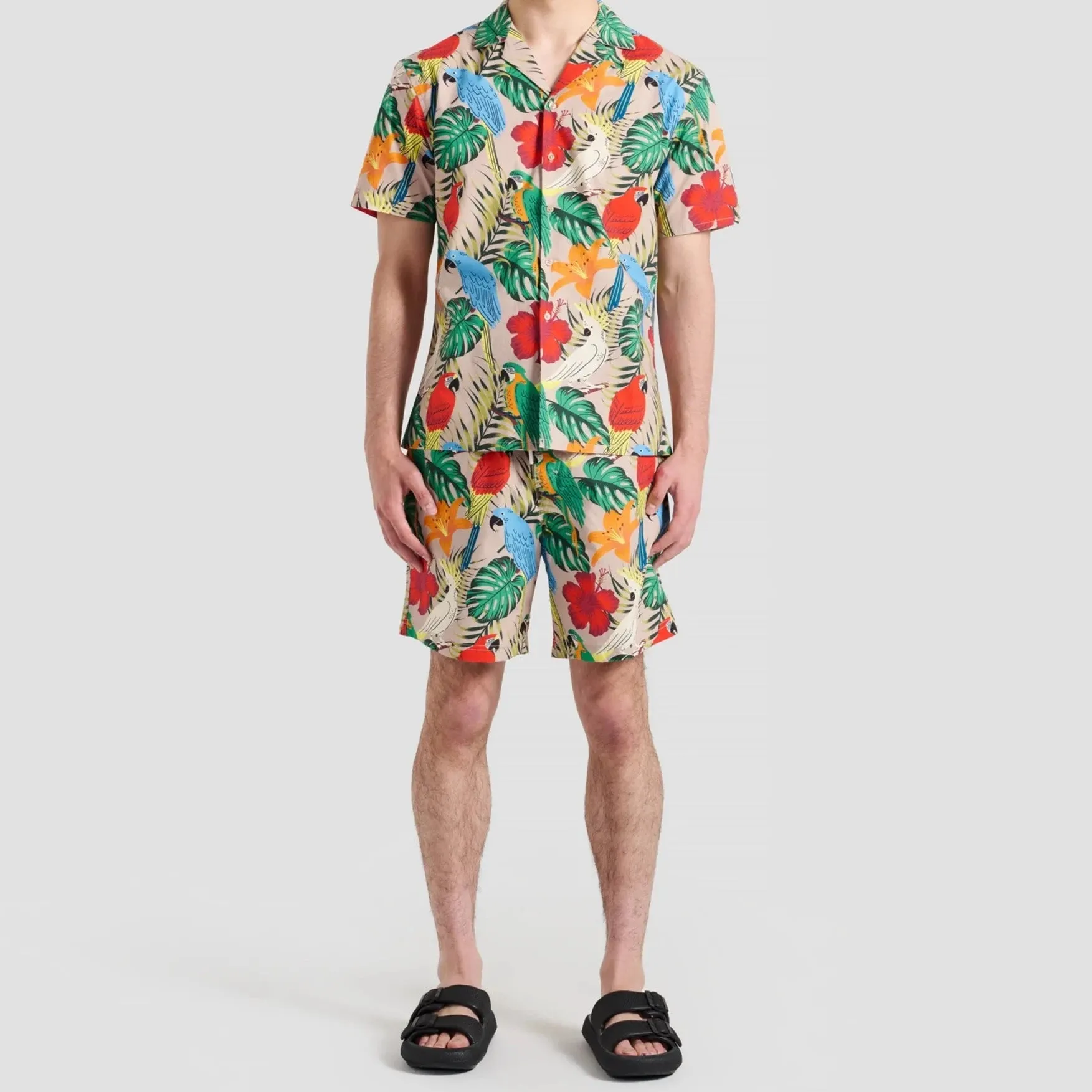 Poplin & Co. Exotic Birds Print Shorts