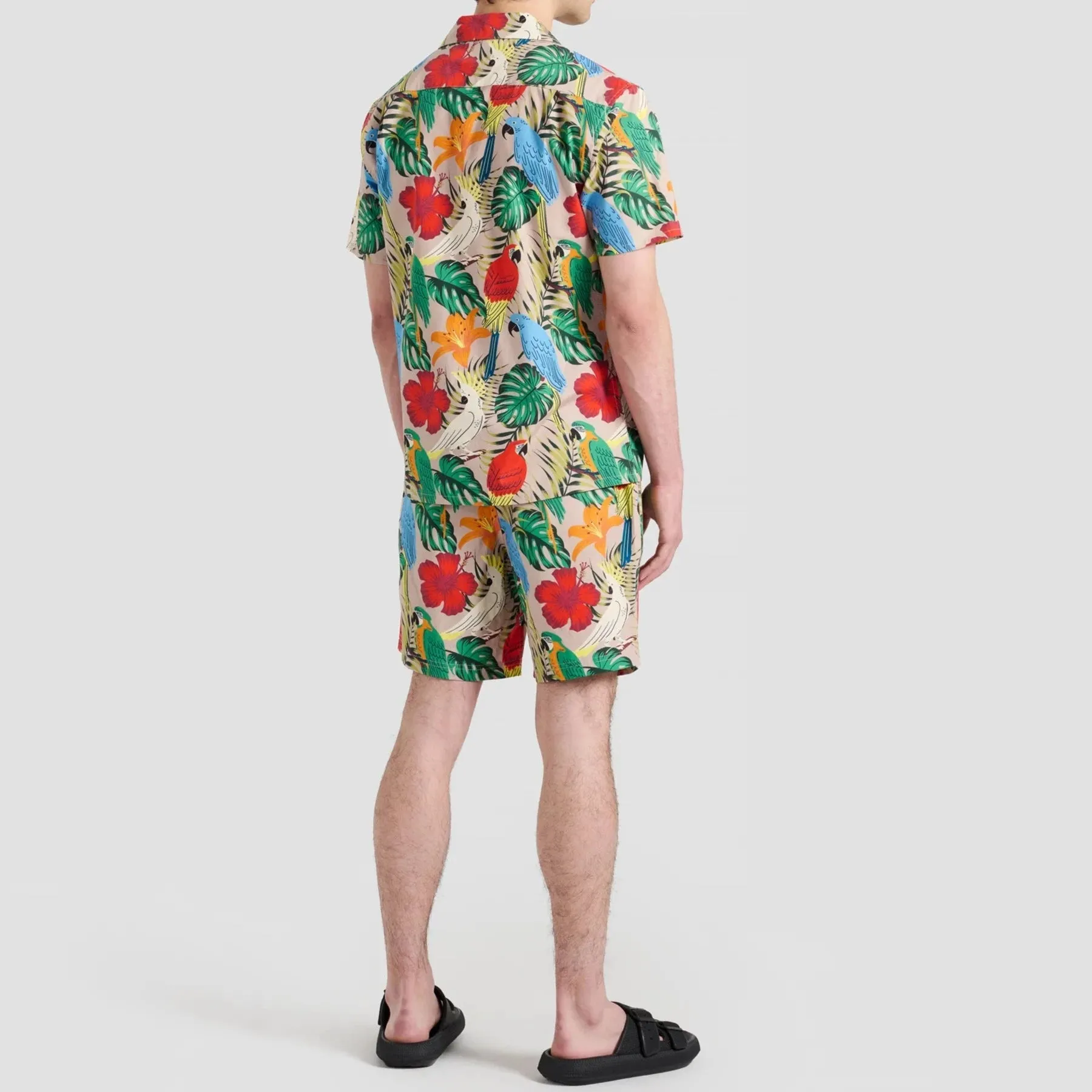 Poplin & Co. Exotic Birds Print Shorts